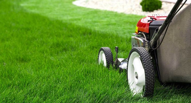 Progettazione e manutenzione giardini Roma